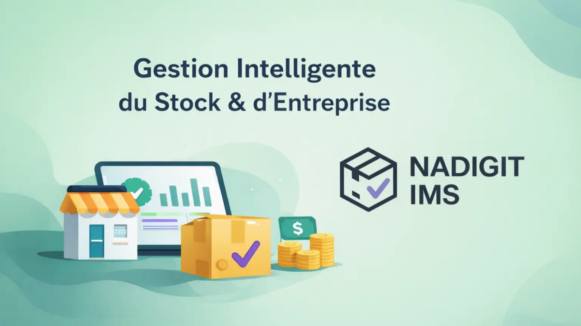 Nadigit IMS – Gestión Inteligente de Negocios